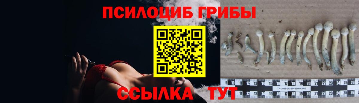 Псилоцибиновые грибы GOLDEN TEACHER  Псилоцибиновые грибы прущие грибы  дарнет шоп  Вход с VPN  Белогорск 